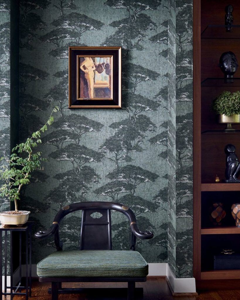 ✨ NEW THIBAUT COLLECTION DEBUT✨