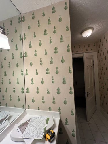 Bathroom Remodel Before After 1