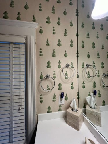 Bathroom Remodel Before After 2