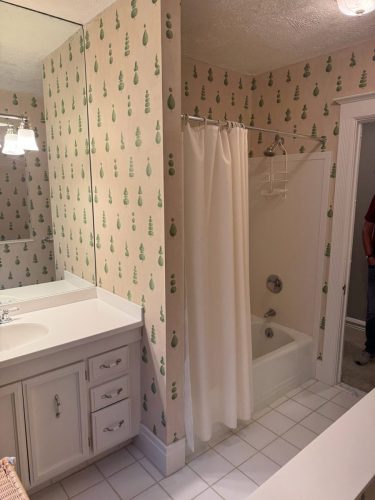 Bathroom Remodel Before After 6