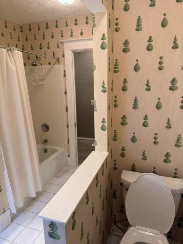 Bathroom Remodel Before After 7