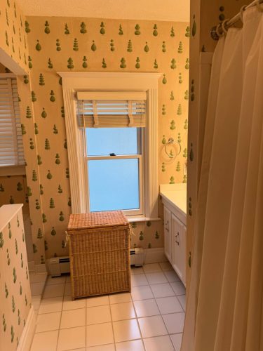 Bathroom Remodel Before After 8